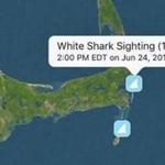 The app lets users know where there have been shark sightings.
